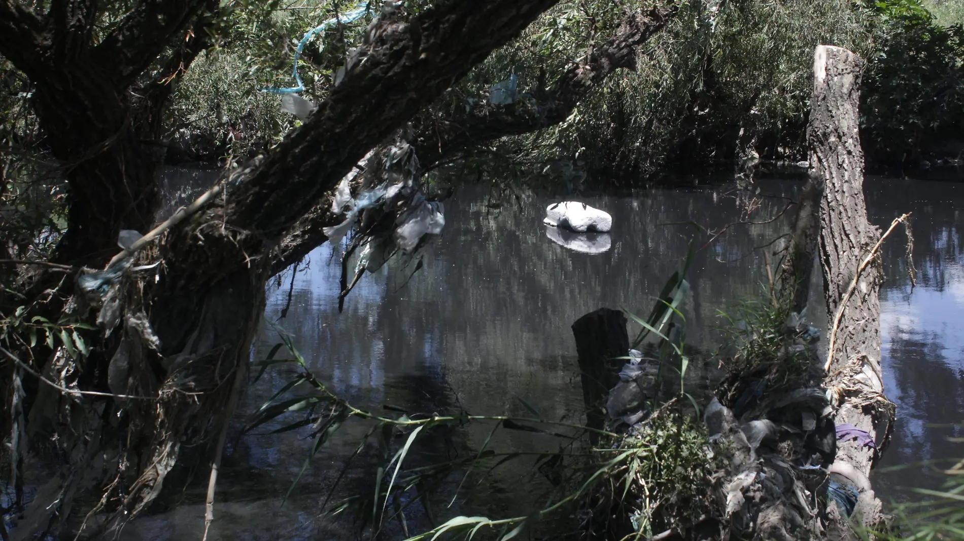 RIO ATOYAC-CONTAMINACION BIBIANAD 04062020 0003